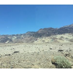 Meet your Posher, Alison